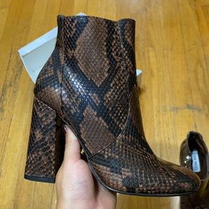 Steve Madden Trix Brown Snake Booties